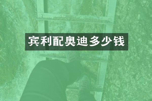 宾利配奥迪多少钱