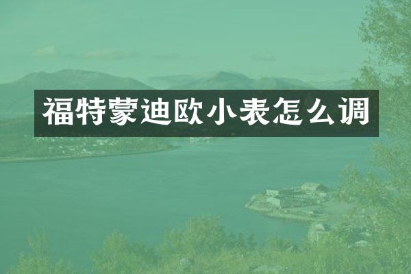 福特蒙迪欧小表怎么调