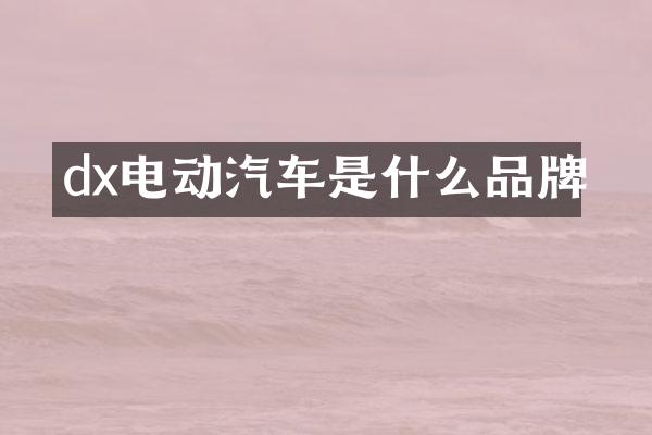 dx电动汽车是什么品牌