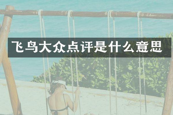 飞鸟大众点评是什么意思