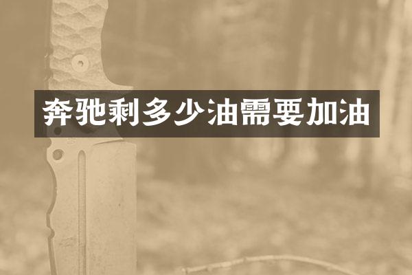 奔驰剩多少油需要加油