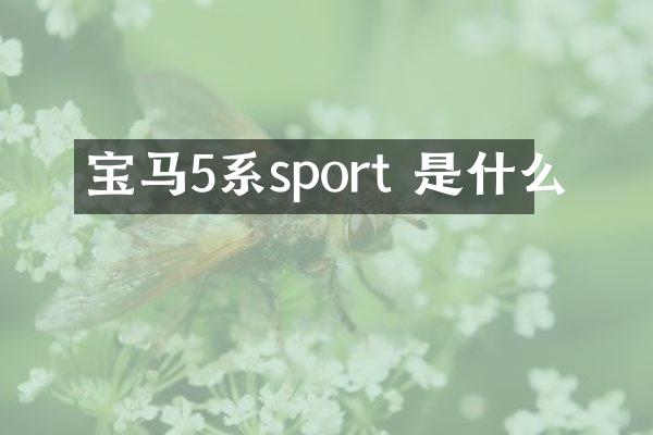 宝马5系sport 是什么