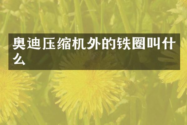 奥迪压缩机外的铁圈叫什么
