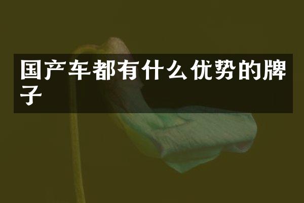 国产车都有什么优势的牌子