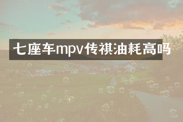 七座车mpv传祺油耗高吗