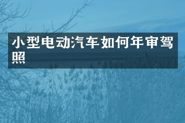 小型电动汽车如何年审驾照