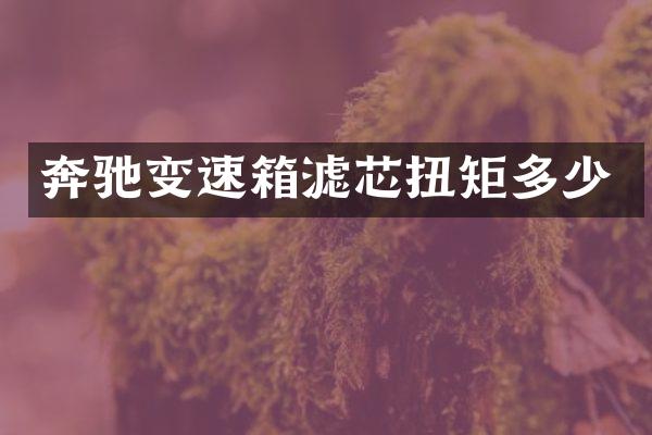 奔驰变速箱滤芯扭矩多少