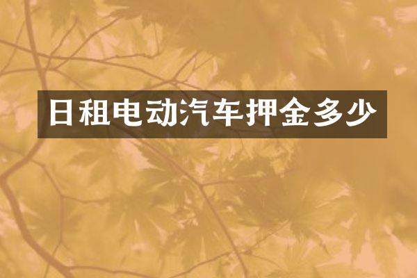 日租电动汽车押金多少