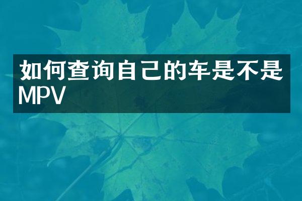 如何查询自己的车是不是MPV