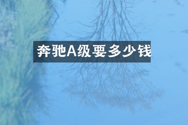 奔驰A级要多少钱