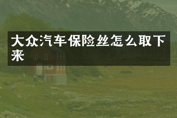 大众汽车保险丝怎么取下来