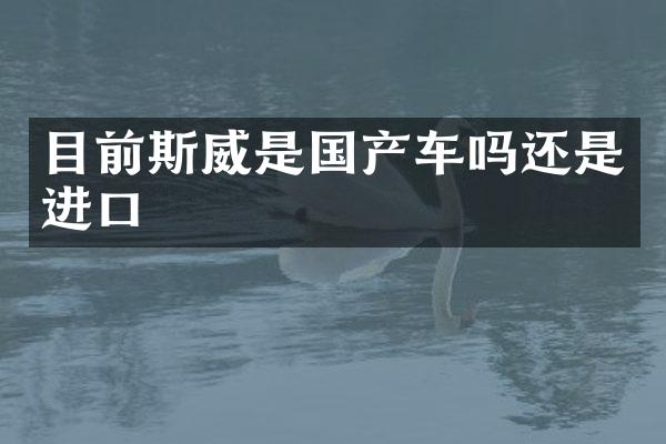 目前斯威是国产车吗还是进口