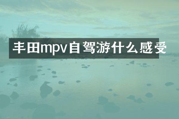 丰田mpv自驾游什么感受
