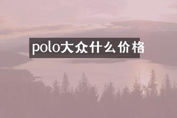 polo大众什么价格