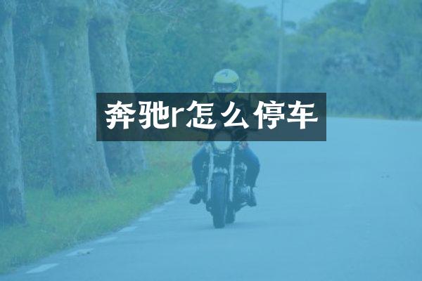 奔驰r怎么停车