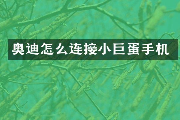 奥迪怎么连接小巨蛋手机