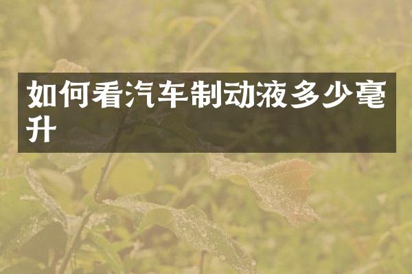 如何看汽车制动液多少毫升