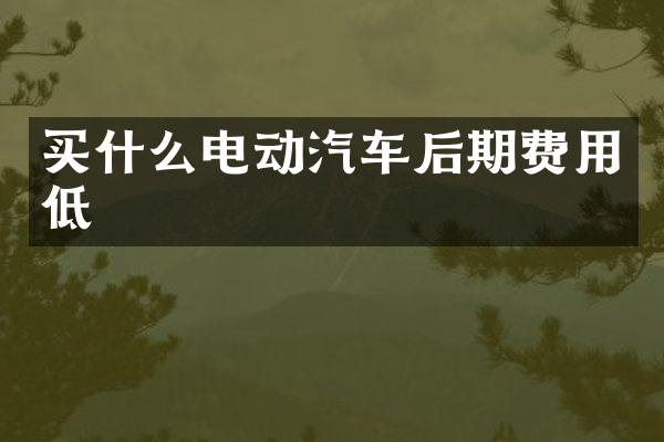 买什么电动汽车后期费用低