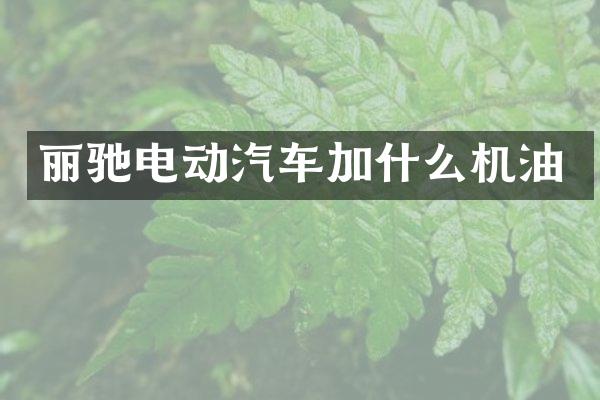 丽驰电动汽车加什么机油