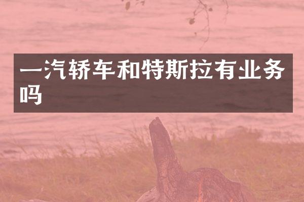 一汽轿车和特斯拉有业务吗