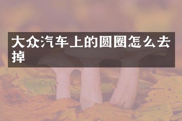 大众汽车上的圆圈怎么去掉