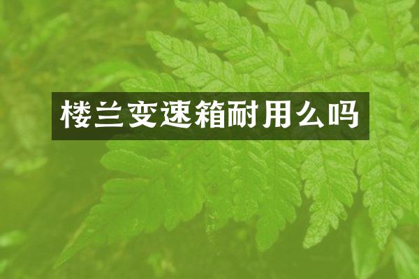 楼兰变速箱耐用么吗