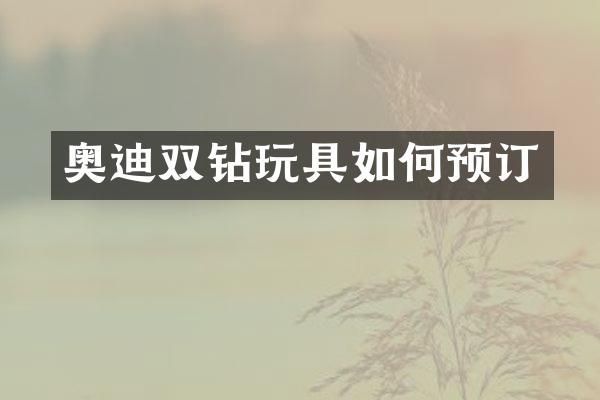 奥迪双钻玩具如何预订
