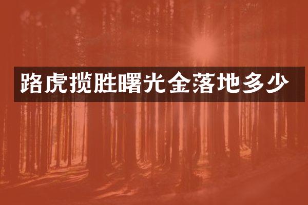路虎揽胜曙光金落地多少