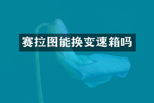 赛拉图能换变速箱吗