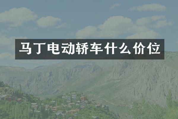 马丁电动轿车什么价位