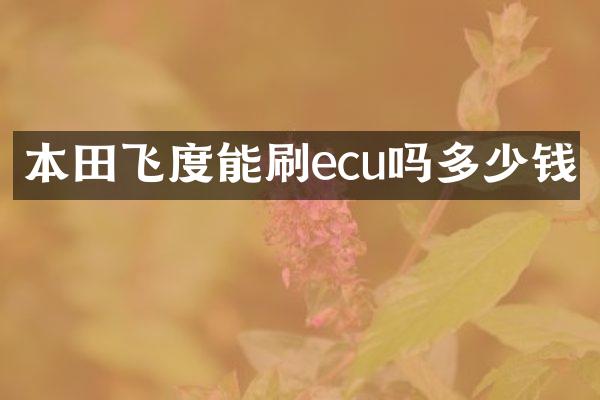本田飞度能刷ecu吗多少钱