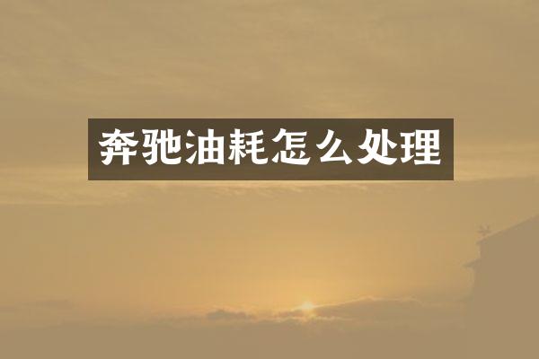 奔驰油耗怎么处理