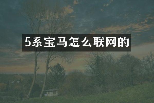5系宝马怎么联网的