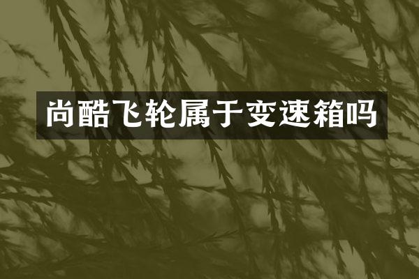 尚酷飞轮属于变速箱吗