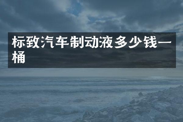标致汽车制动液多少钱一桶