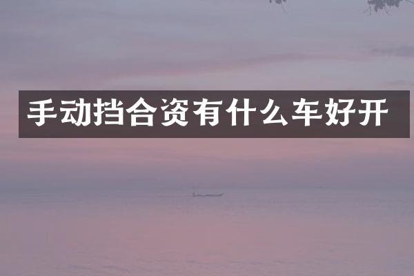 手动挡合资有什么车好开