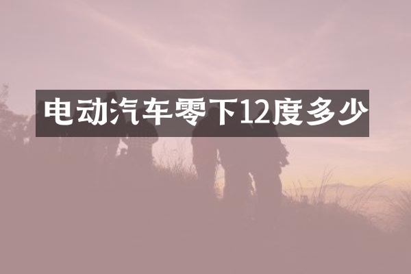 电动汽车零下12度多少