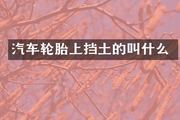 汽车轮胎上挡土的叫什么