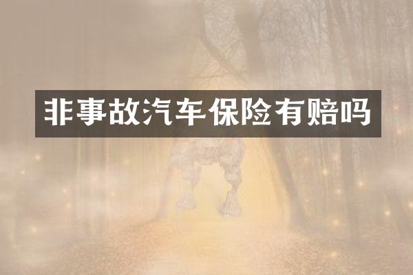 非事故汽车保险有赔吗
