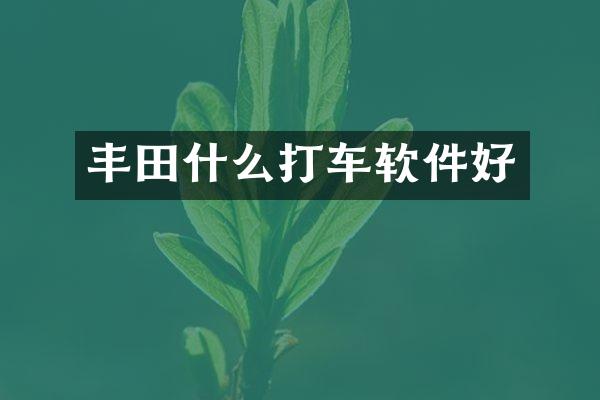丰田什么打车软件好