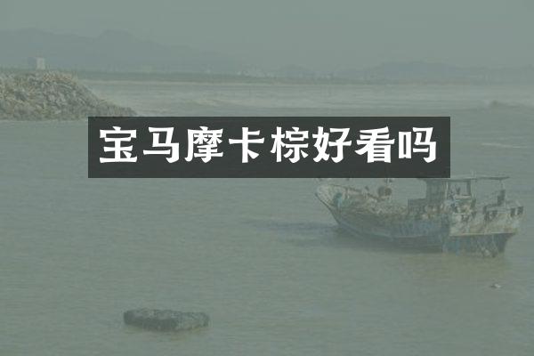 宝马摩卡棕好看吗
