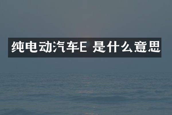纯电动汽车E 是什么意思