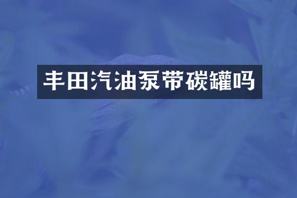 丰田汽油泵带碳罐吗