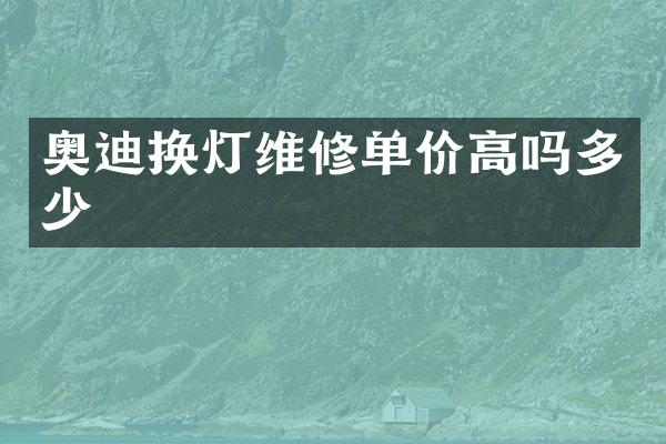奥迪换灯维修单价高吗多少
