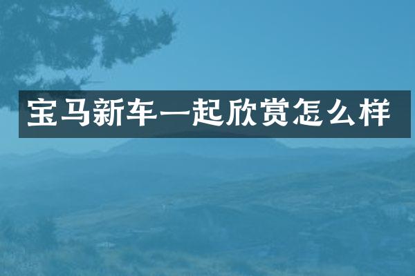 宝马新车一起欣赏怎么样