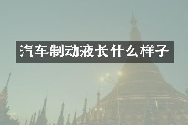 汽车制动液长什么样子