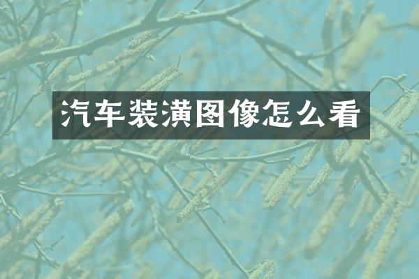 汽车装潢图像怎么看