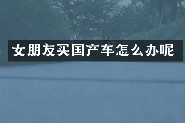 女朋友买国产车怎么办呢