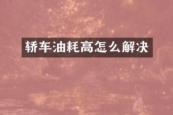 轿车油耗高怎么解决
