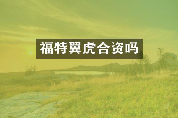 福特翼虎合资吗